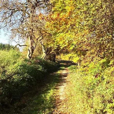 Lägenhet Mit Gartenblick Eckersdorf