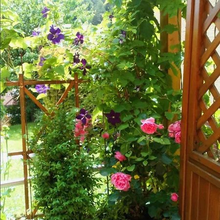 Apartment Mit Gartenblick