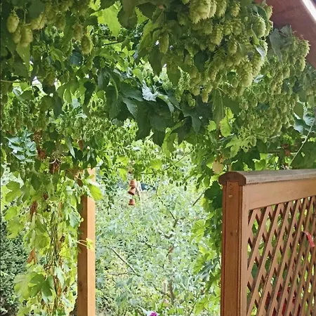 Mit Gartenblick Appartement *