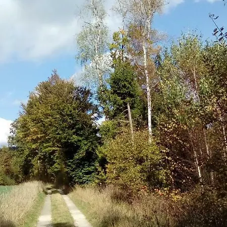 Διαμέρισμα Mit Gartenblick Eckersdorf