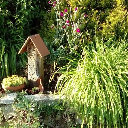Apartment Mit Gartenblick Eckersdorf
