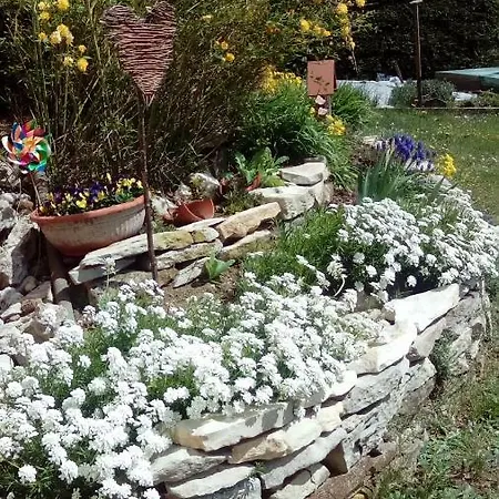 Apartment Mit Gartenblick *
