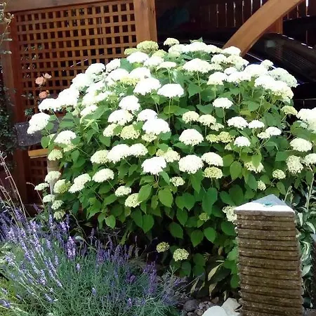 Διαμέρισμα Mit Gartenblick Eckersdorf