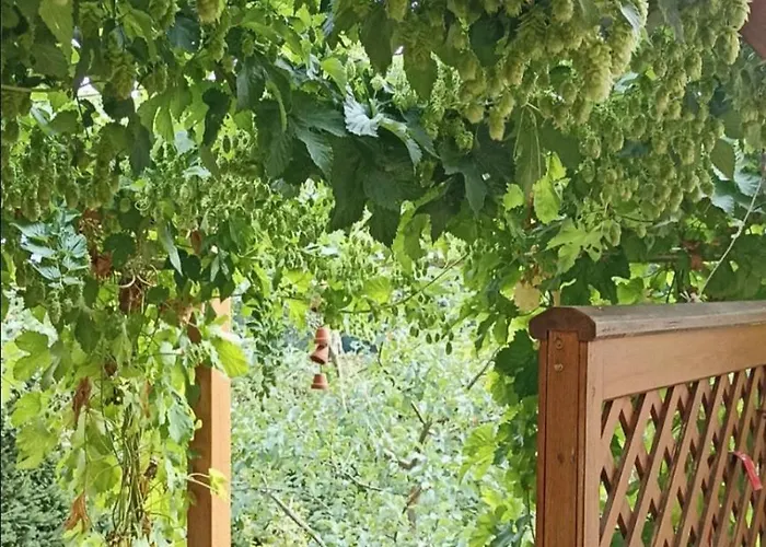 Mit Gartenblick Apartament *