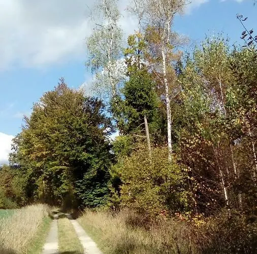 Apartament Mit Gartenblick Eckersdorf