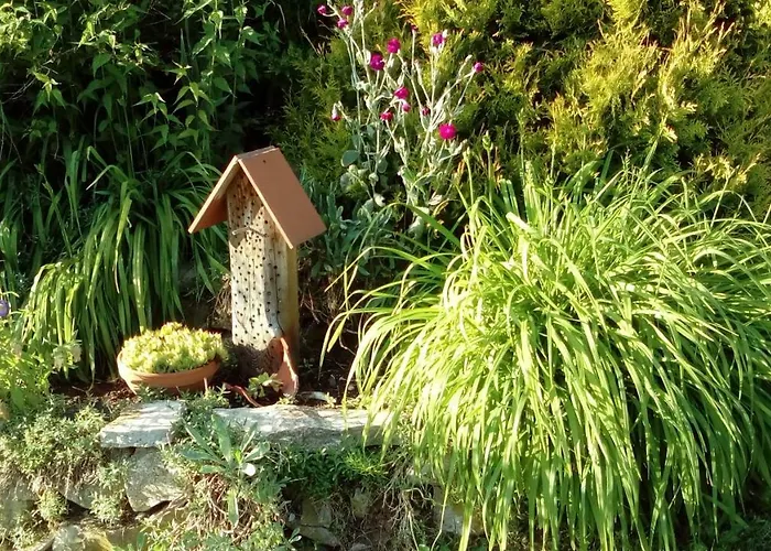 Apartament Mit Gartenblick Eckersdorf