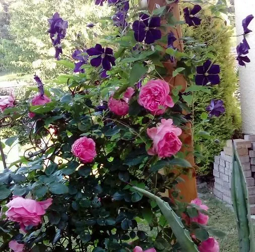 Mit Gartenblick * Eckersdorf