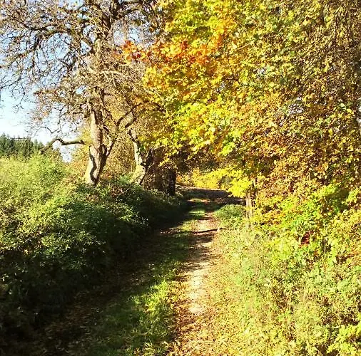 Apartament Mit Gartenblick Eckersdorf