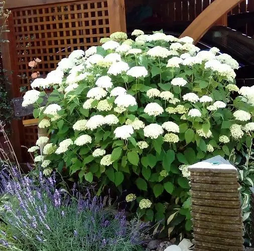 Apartament Mit Gartenblick Eckersdorf