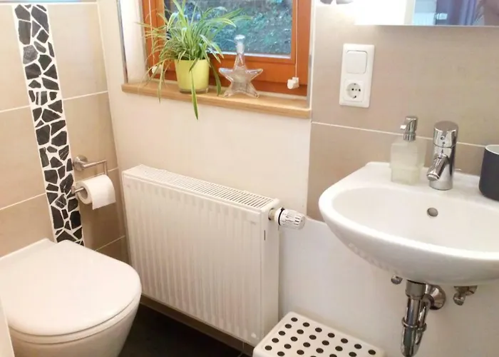 Apartament Mit Gartenblick Eckersdorf